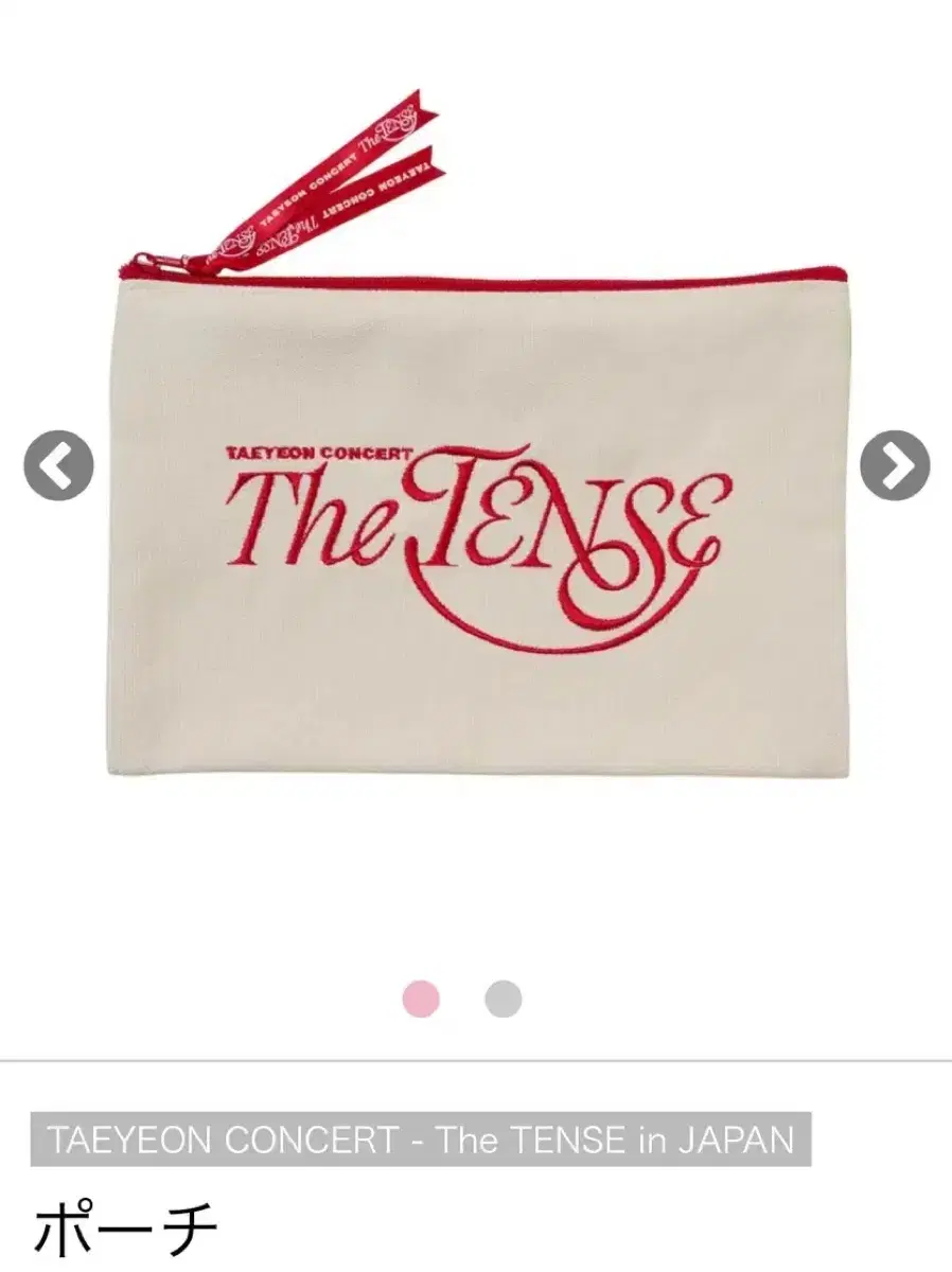 Taeyeon The Ten Japan Concert MD Pouch