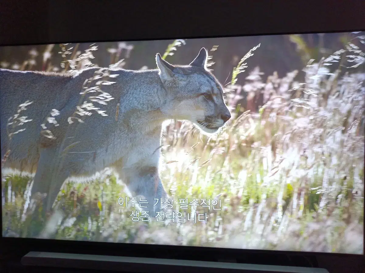 Samsung 8K Neo QLED Smart TV 65 inch (Stand type)