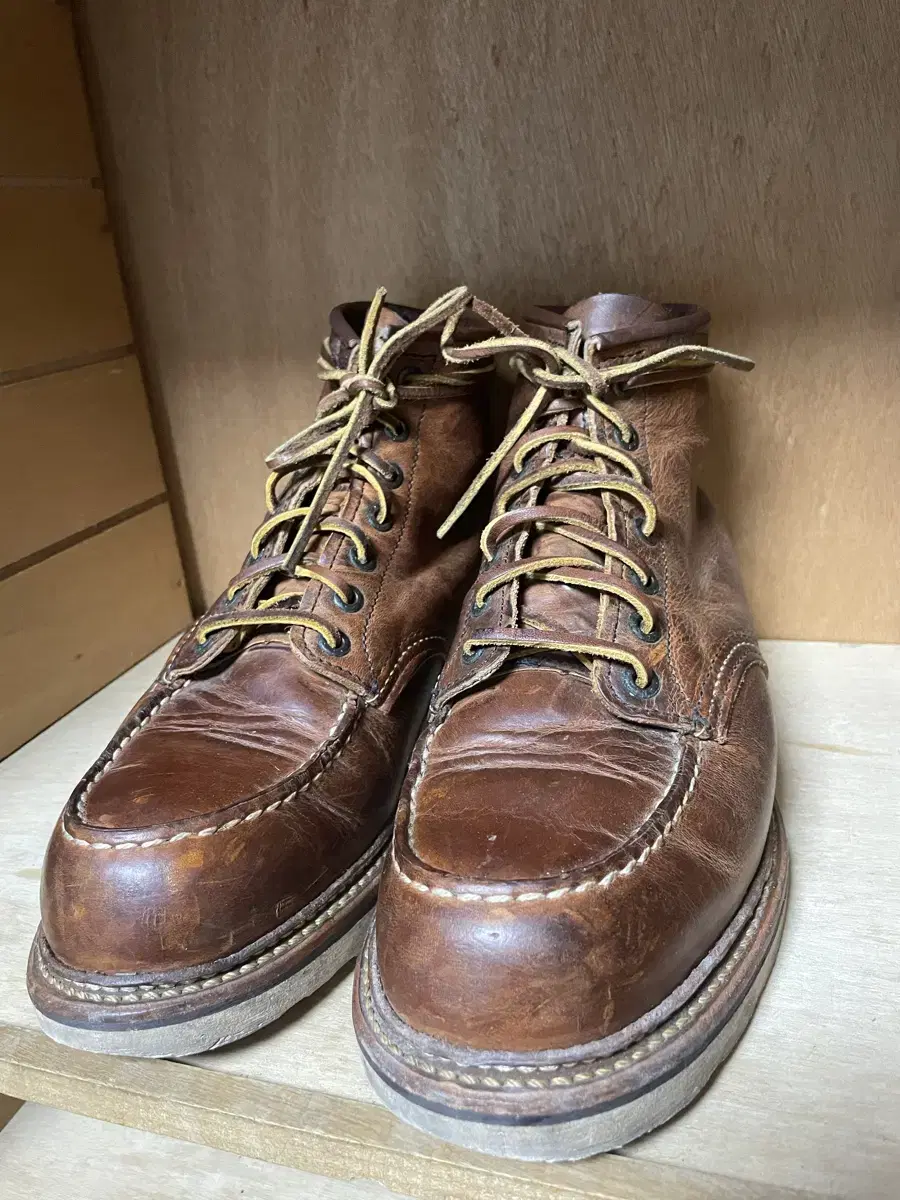 Red Wing 1907 8d