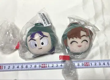 닌자 타마 란타로 페이스 배지 다치바나 센조 젠포지 이사쿠