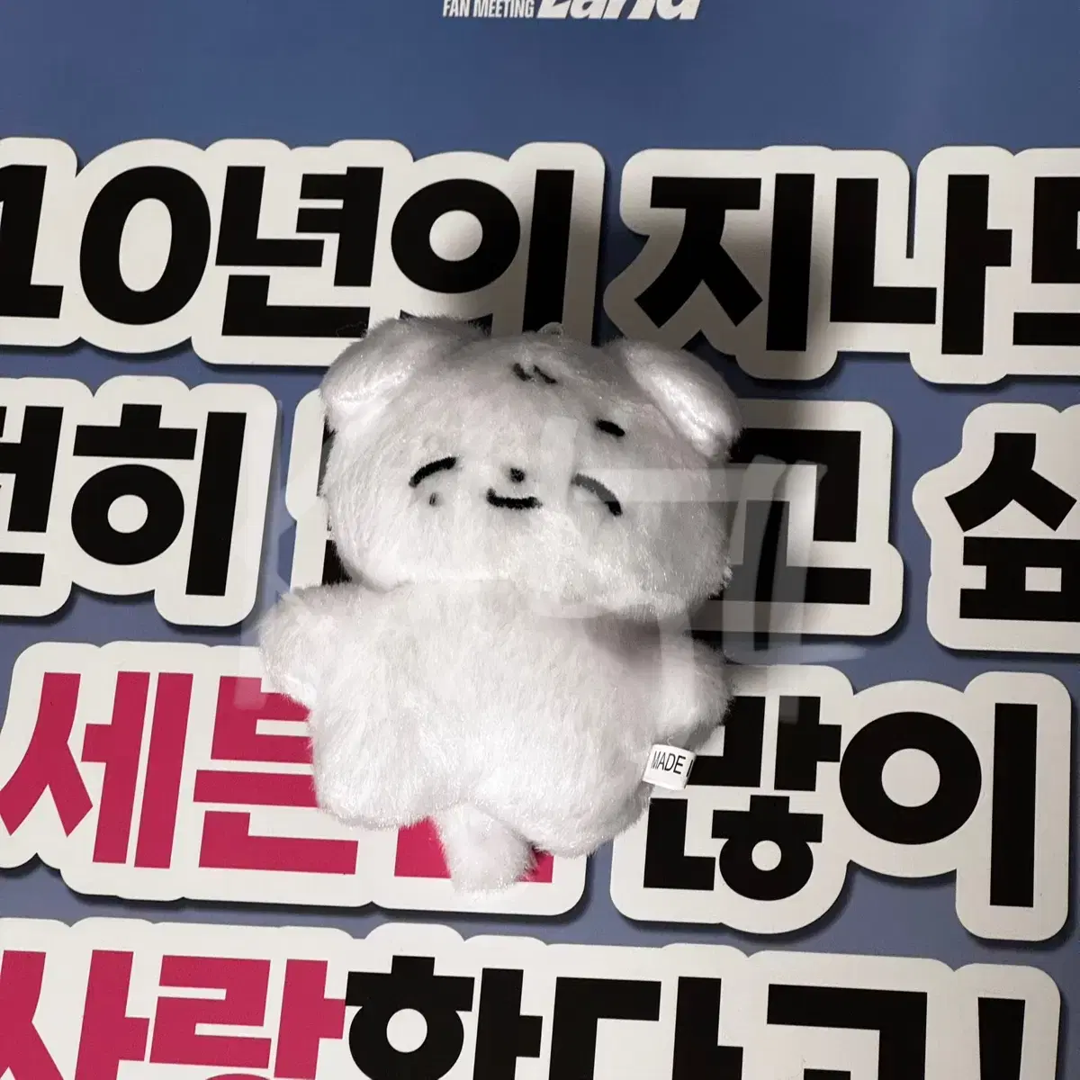 세븐틴 정한 비공식 인형 뭉쫑이