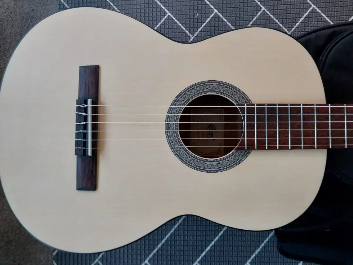 New Cort Classical Guitar