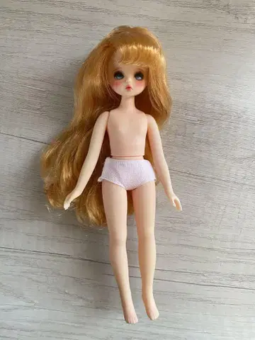 한국 인형 Petite Chica 쁘띠 치카 코제트 치카비 chicabi
