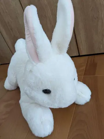 토끼 BIG 봉제 인형