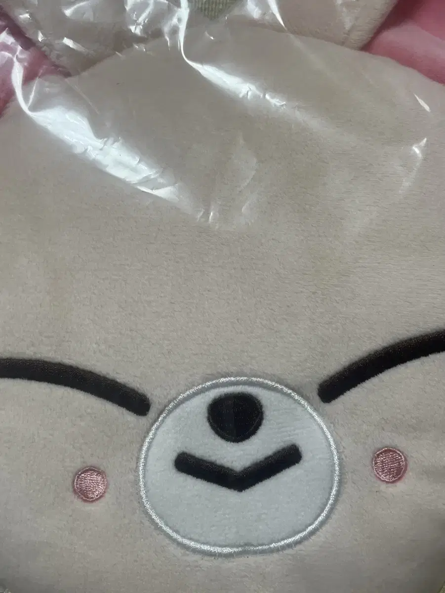 스키즈 스키주 폭시니 양정인 아이엔 백팩 가방