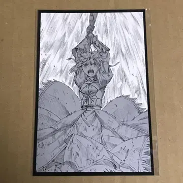 Fate Zero ANIPLEX 혜택 엽서 알토리아