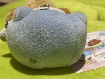 포켓몬 센터 마지팡 거북왕(카멕스) 봉제 인형