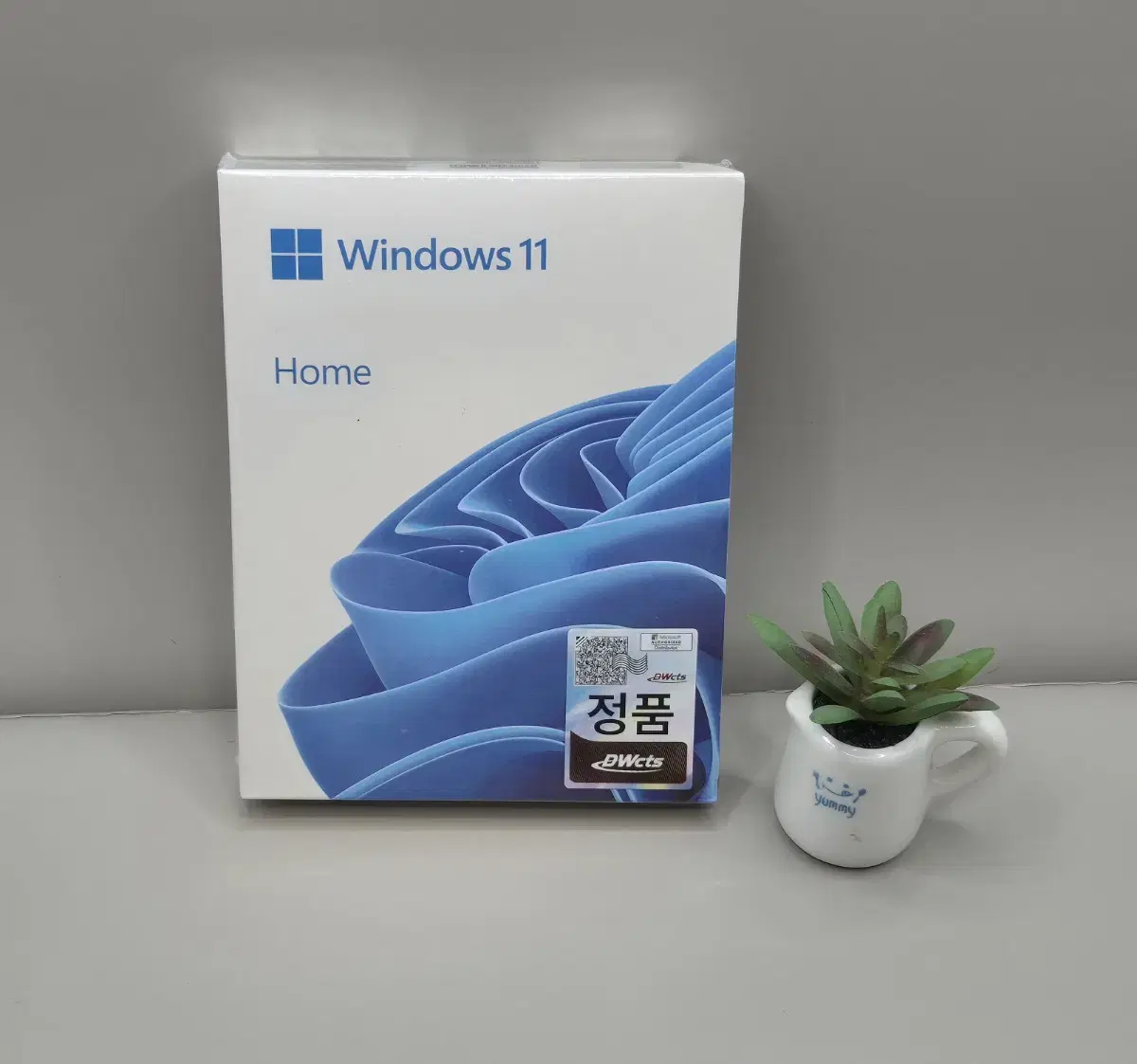 Windows 11 Home FPP First-Time User PC Transfer Possible (USB, Key Card)