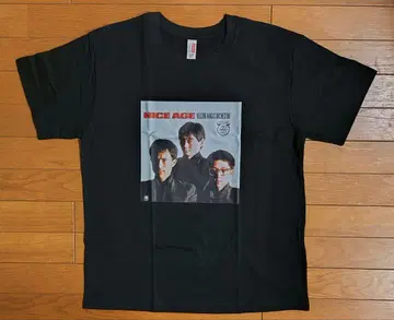 Nice Age ymo yellow magic orchestra 레어