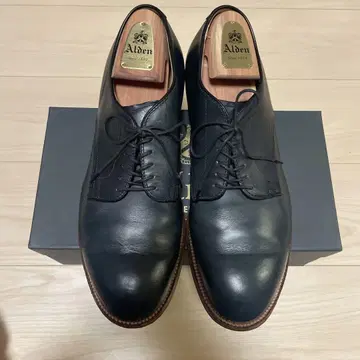 알든 플레인토 네이비 크롬 엑셀