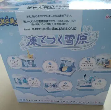 포켓몬 얼어붙은 설원 BOX 대량 구매 박스
