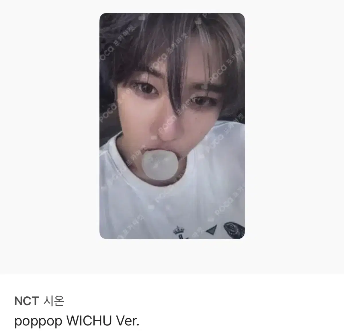 엔시티 위시 팝츄 버전 포카 시온