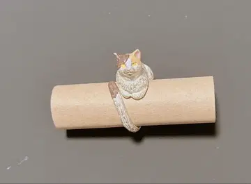편안함 반지