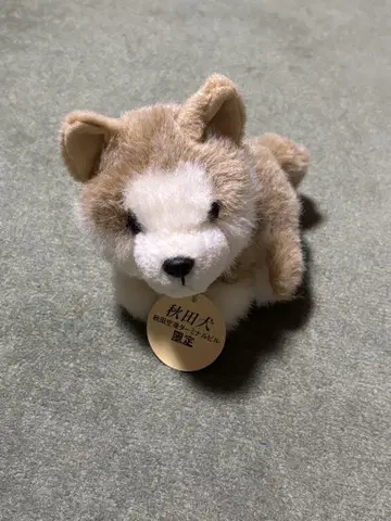 아키타견 봉제 인형 아키타 공항 터미널 한정판