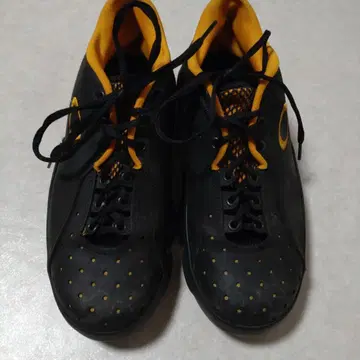오클리 OAKLEY 아카이브 SHOETHREE