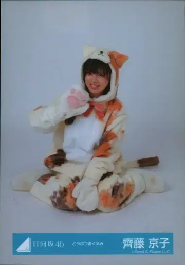 히나타자카46 2024년 신년 아이템 사이토 교코 동물 인형옷 앉은 자세