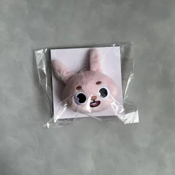 원필 PIL 봉제 인형 배치 DAY6
