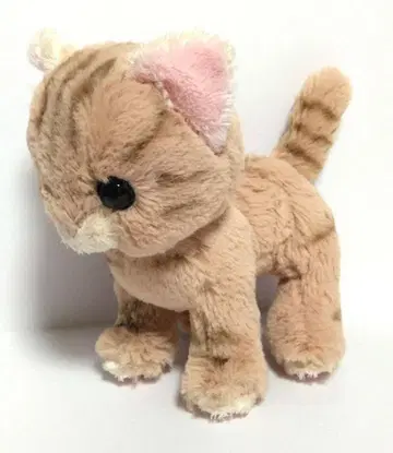 아메리칸 쇼트 헤어 고양이 봉제 인형 선 레몬 고양이 애니멀 동물