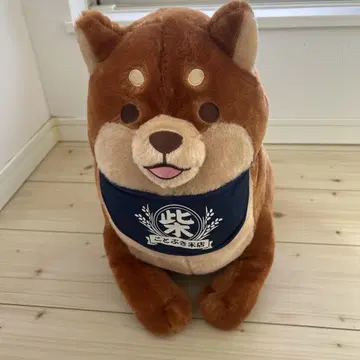 충견 모치시바 봉제 인형 코토부키 쌀가게 브라운 거대