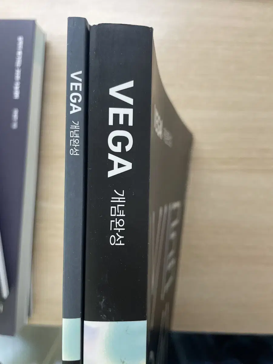 Earth Science I VEGA Concept Completion (Concept Completion + Mini Book)