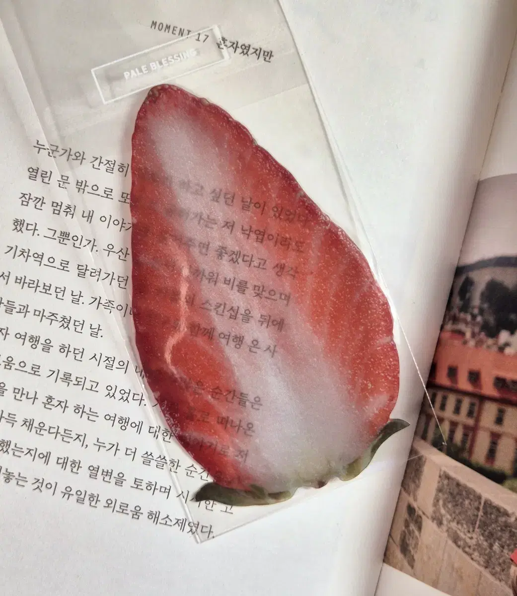 이옥토 책갈피 딸기