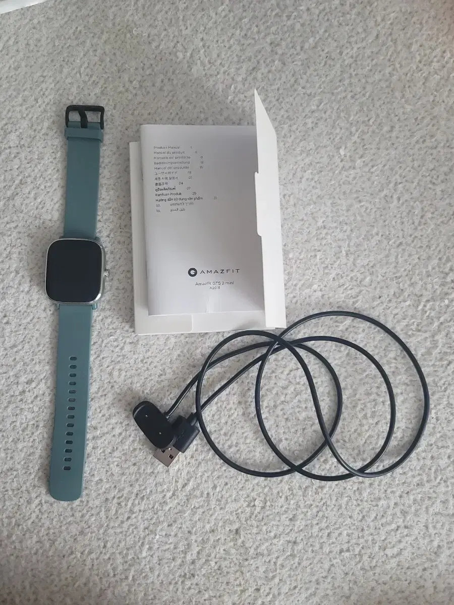 Amazfit GTS 2 mini