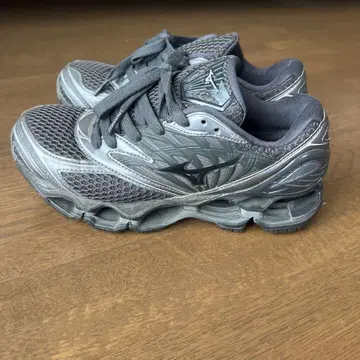 미즈노 MIZUNO WAVE PROPHECY LS 24.0