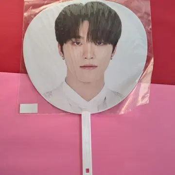 SEVENTEEN 디노 부채 2020