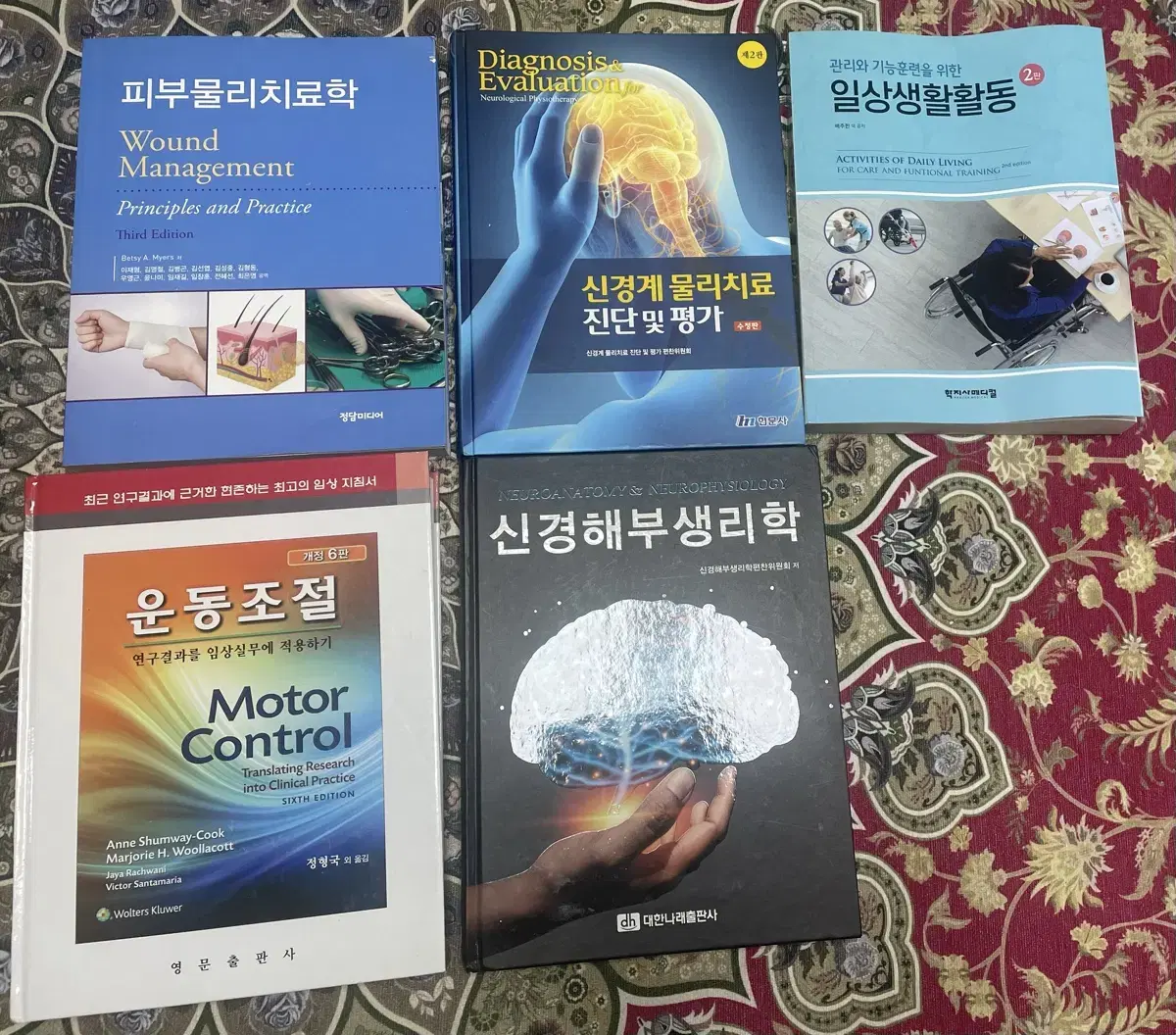 물리치료 전공 관련 서적 일괄로 사실분