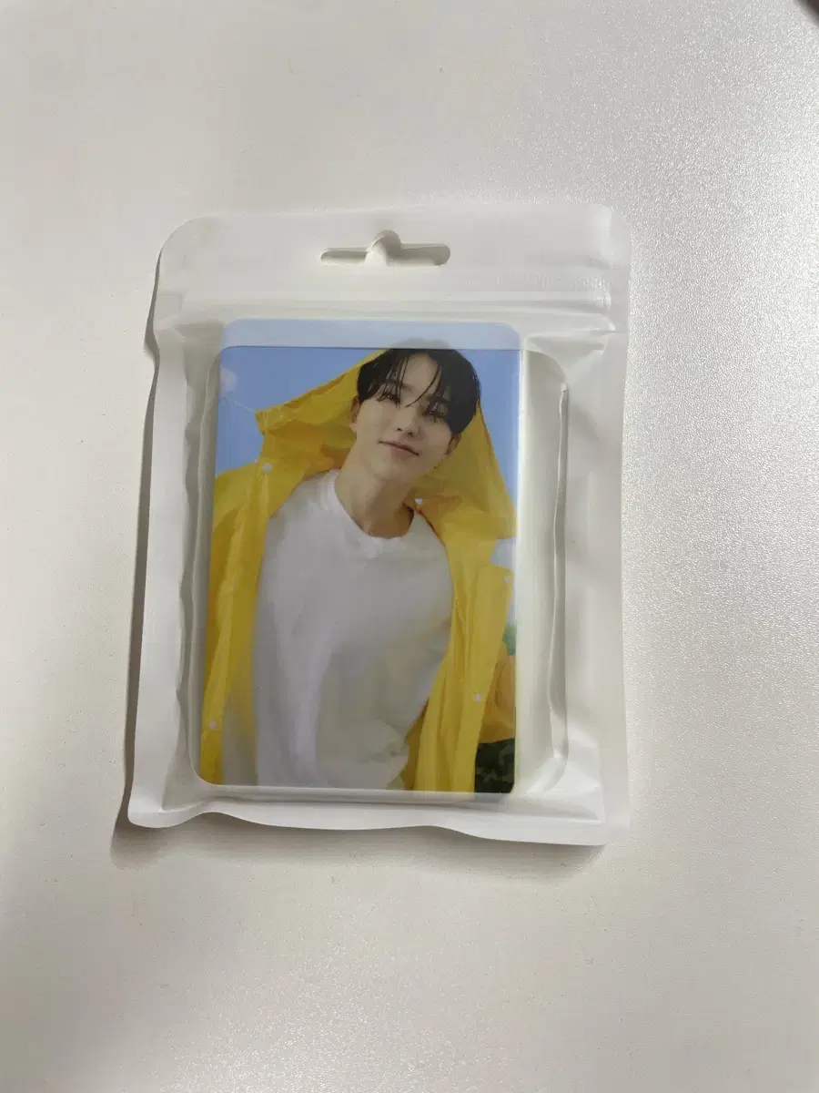 세븐틴 세븐틴쓰 헤븐 캐럿반 호시