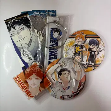 카게야마 히오 하이큐!! 캔 배지 아크릴 택 크로스 키링 스티커