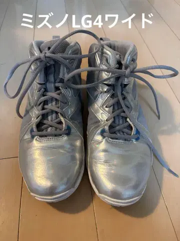 미즈노 WAVEDIVERSE LG4 와이드 실버 25.5cm