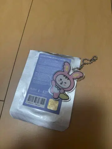 SEVENTEEN 미니틴 아크링 키링 정한 Miniteen 트램