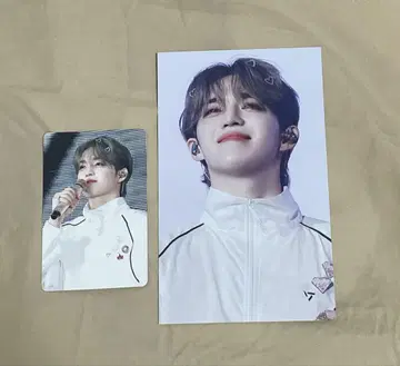SEVENTEEN 에스크푸스 Follow DVD 유니버셜 혜택