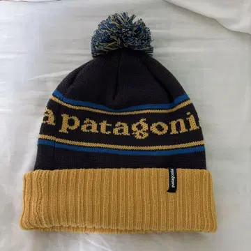 Patagonia/니트 모자/남녀 공용