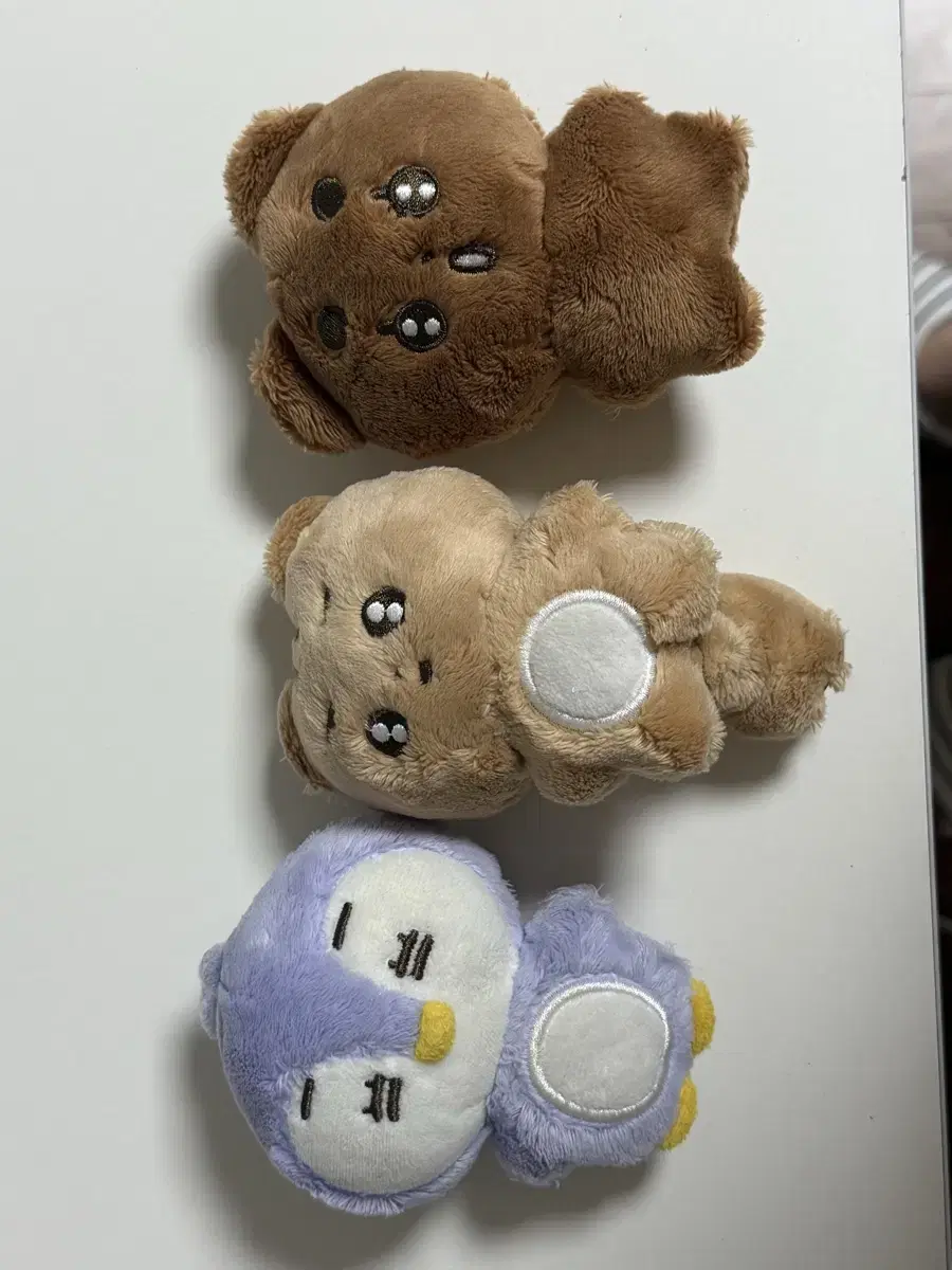 뽀바투 뽀송텬 말랑닝 뽀송밤