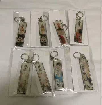 하이큐 원화전 메탈 키링 컬렉션