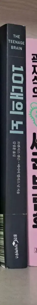 10대의 뇌(네고가능