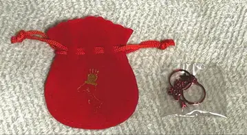 기시단 아야코지 쇼 아야노코군