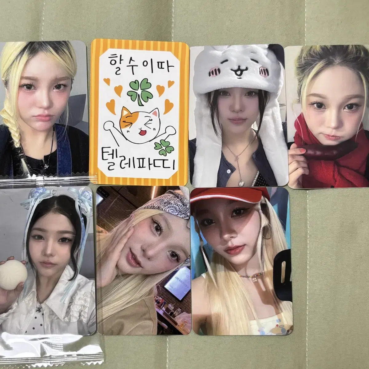 영파씨 지아나 포토카드 포카 미공포 일괄 세트