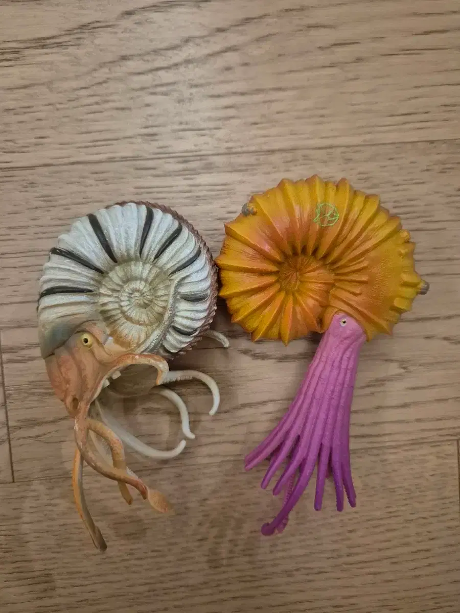 Dinosaur Mecard Ammo Large & Collecta Ammonite Figure Bulk