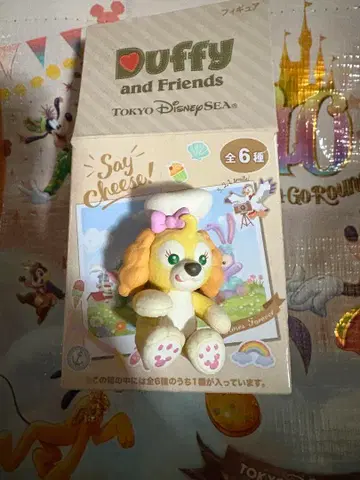 Duffy and Friends Say Cheese! 피규어