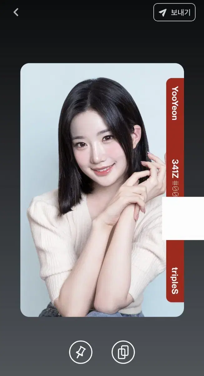 트리플에스 유연 시현하다 오브젝트