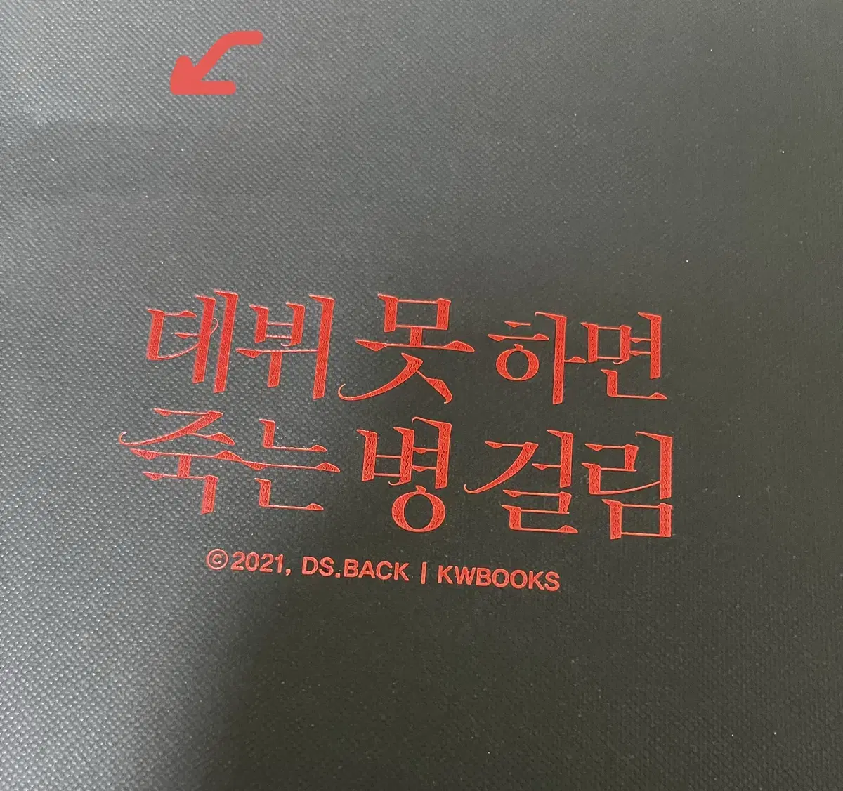 Debut or Die Volume 2 First Edition Limited Goods Set