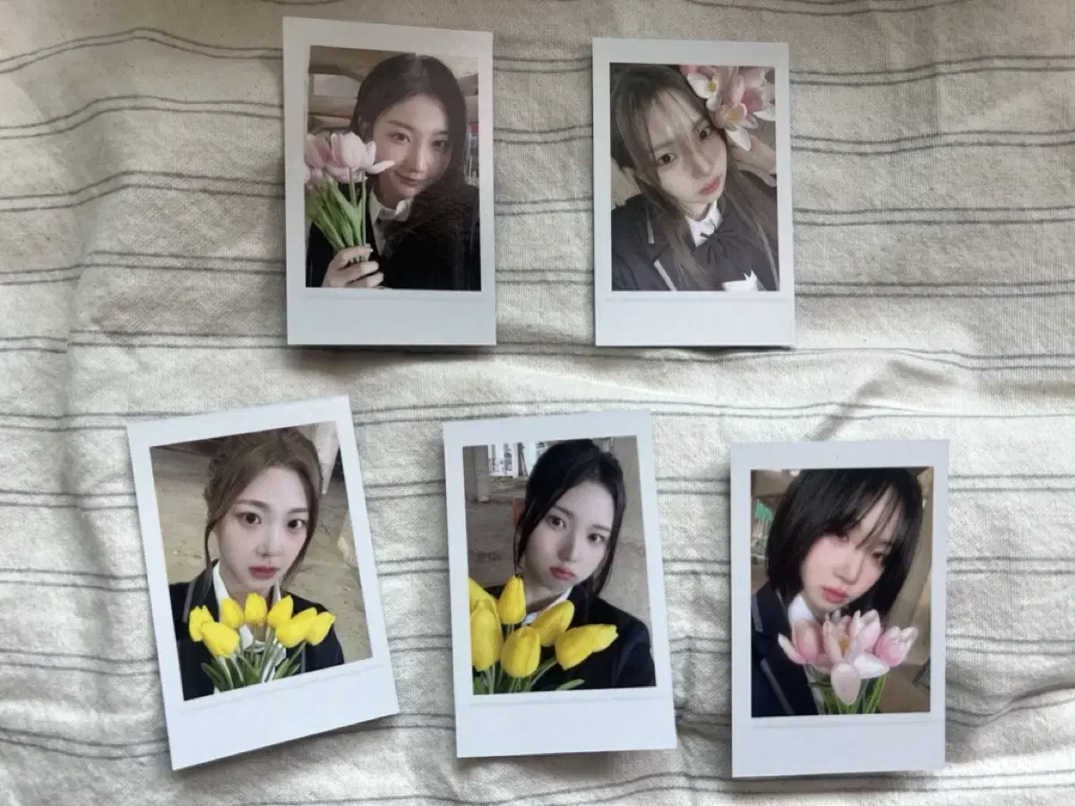 triples Apple Mu showcase pre-order benefit unreleased photocard wts