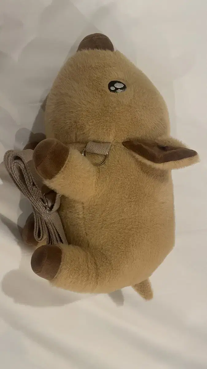 [5월 마지막 할인 18일까지 할인]초롱초롱 멧돼지 백팩 인형