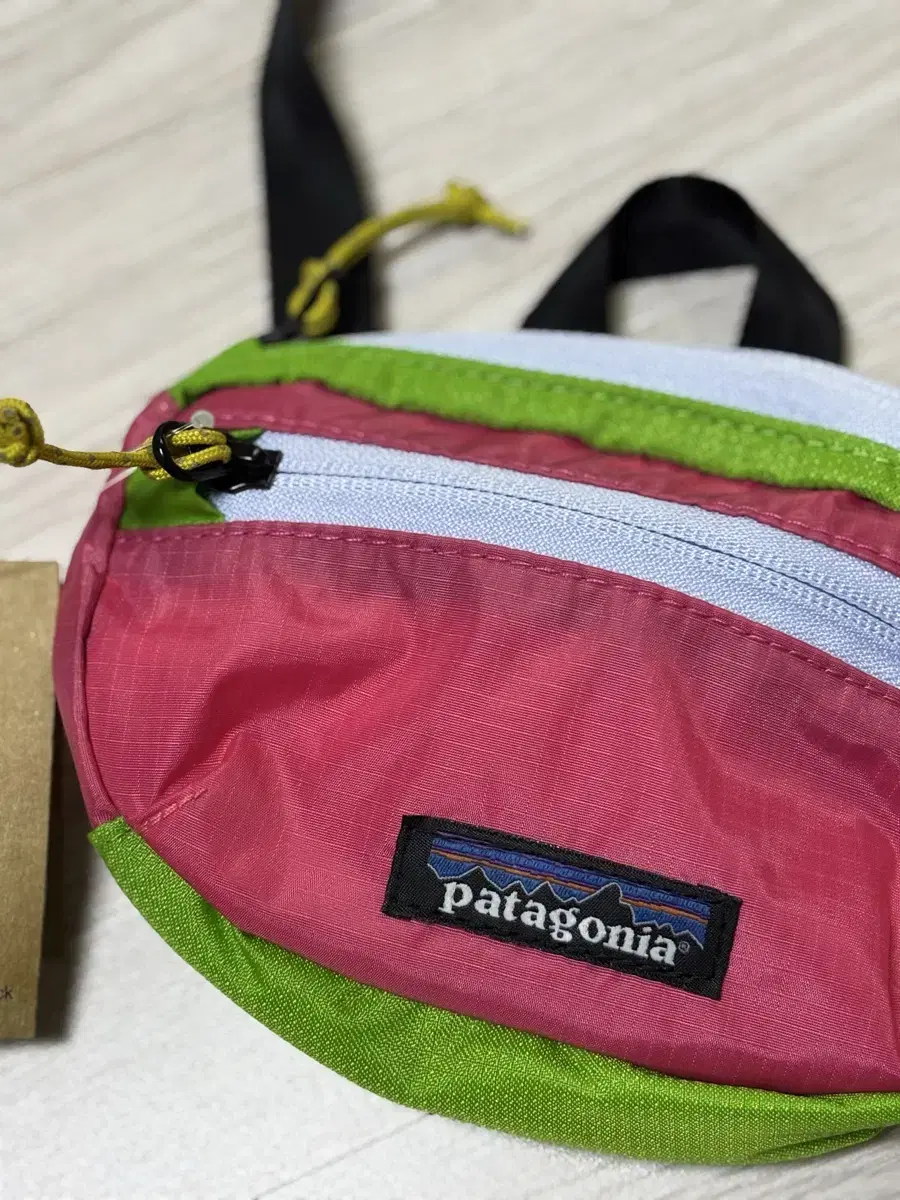 Patagonia Mini Hip Pack
