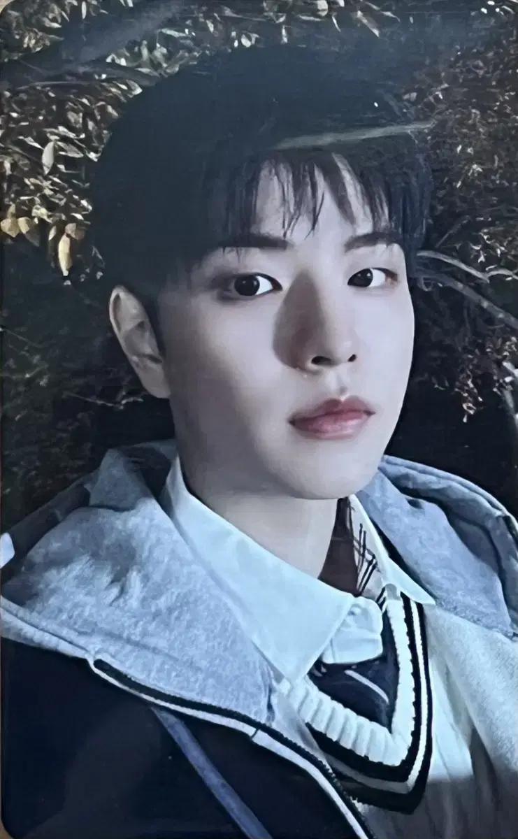 스키즈 합 네모앨범 특전 승민 포카 양도 집샵미공포그천우