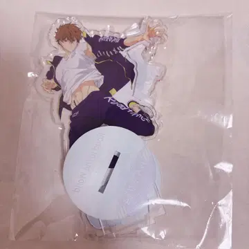 Free! RW 유메 오동나무 키리시마 나츠야 아크릴 스탠드