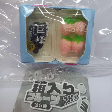 새상품 박스형 후르츠 마스코트 가챠 거봉 딸기 이치고 미니어처